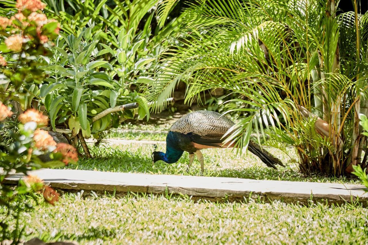 Villa Lu Amazon Ecolodge Tarapoto Extérieur photo