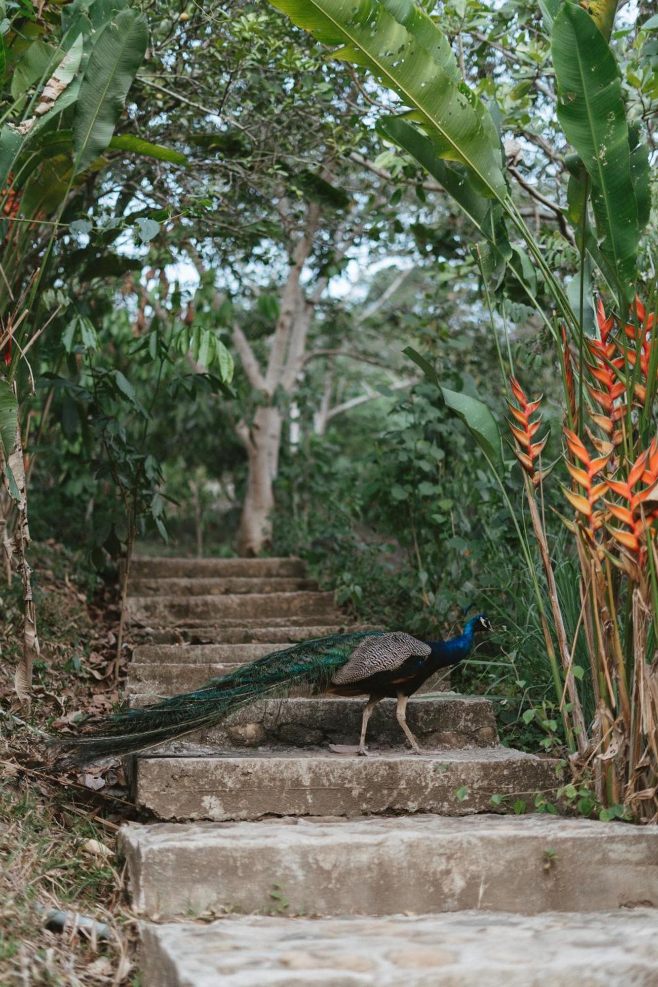 Villa Lu Amazon Ecolodge Tarapoto Extérieur photo